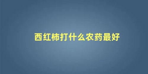 西红柿一般打什么农药(西红柿打药啥时间最好)